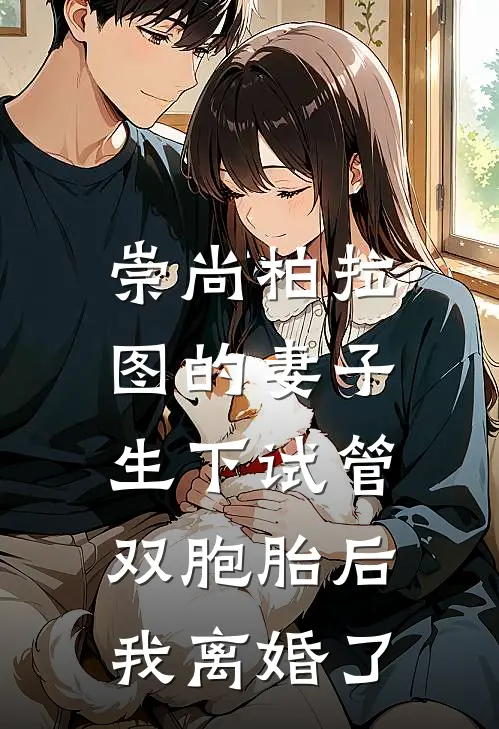 崇尚柏拉图的妻子生下试管双胞胎后，我离婚了