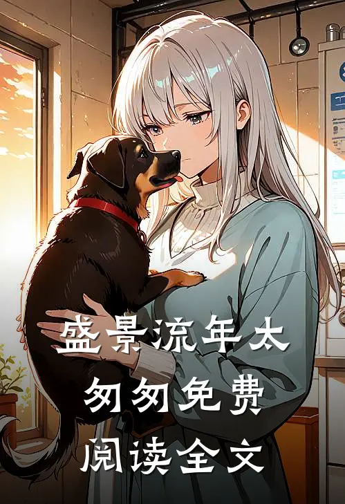 盛景流年太匆匆免费阅读全文